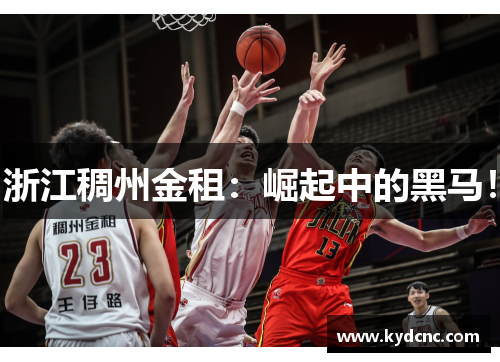 浙江稠州金租：崛起中的黑马！